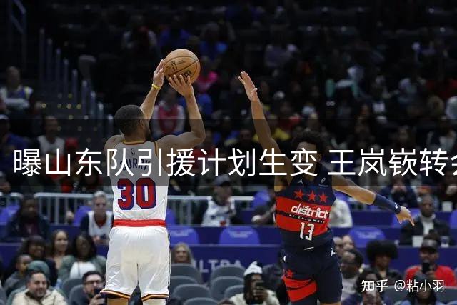 曝山东队引援计划生变 王岚嵚转会谈判因辽宁队介入搁浅
