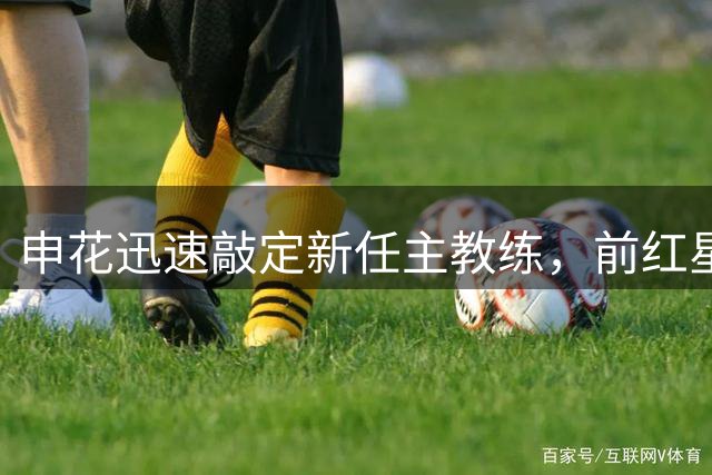 申花迅速敲定新任主教练，前红星主帅接近上任，首秀或是京沪大战